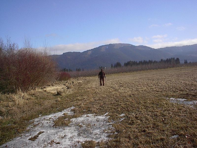 IM006366 Robin, outstanding in her field